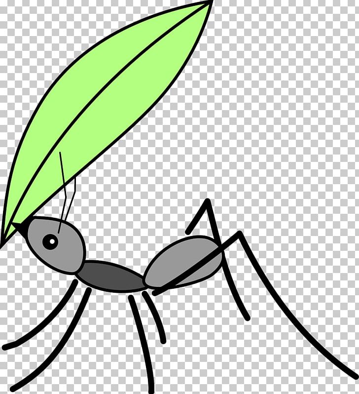 Black Garden Ant Insect Drawing PNG, Clipart, Acromyrmex, Animals, Ant, Ants, Area Free PNG Download