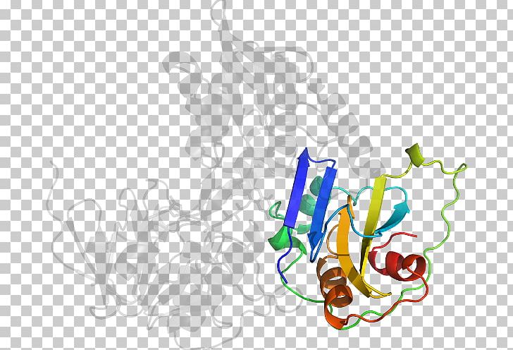 Text Organism Line PNG, Clipart, 4 B, Aif, Apoptosis, Art, B 3 Free PNG Download