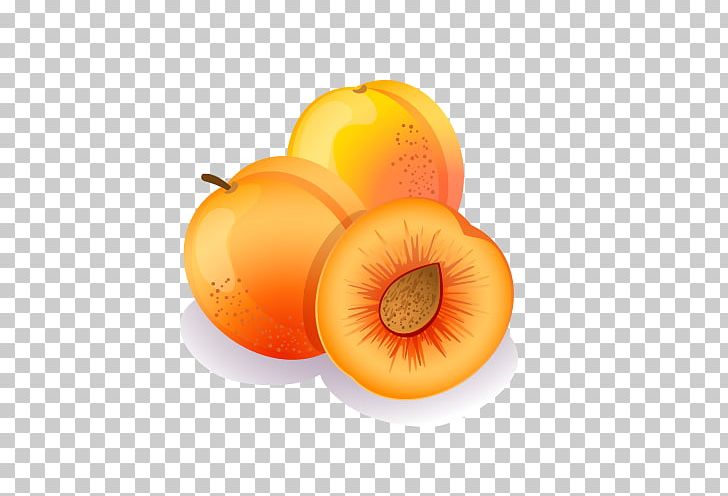 Euclidean Peach Photography Illustration PNG, Clipart, Can Stock Photo, Delicious, Delicious Food, Delicious Vector, Diet Food Free PNG Download