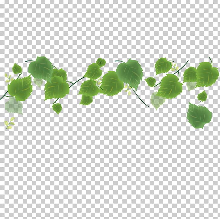 Green Leafes PNG Image, Green Leaf Vector, Tea Pattern, Decorative Pattern,  Leaf Pattern PNG Image For Free Download