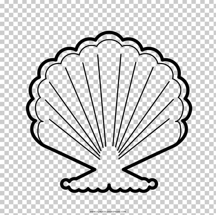 Seashell Drawing PNG, Clipart, Animals, Area, Black And White, Circle, Coloring Book Free PNG Download