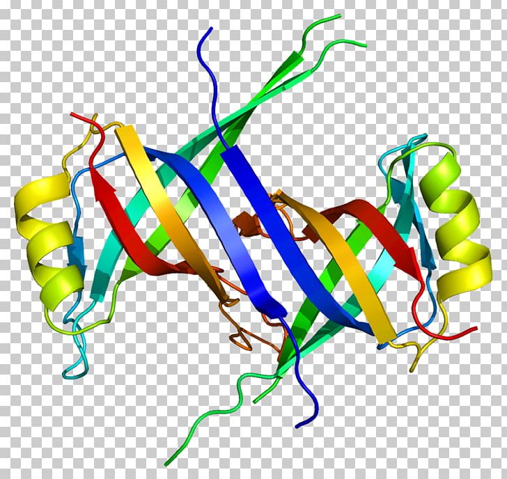 Single-stranded Binding Protein SSBP1 DNA Gene PNG, Clipart, Area, Artwork, Dna, Dnabinding Protein, Dna Replication Free PNG Download