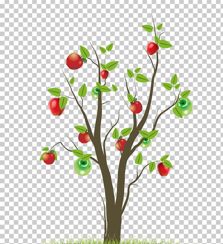 Tree PNG, Clipart, Apple, Apple Tree, Background Green, Berry, Branch Free PNG Download