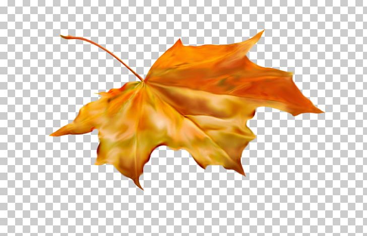 Autumn Leaves Blog Diary PNG, Clipart, Accroche, Autumn, Autumn Leaves, Blog, Daytime Free PNG Download