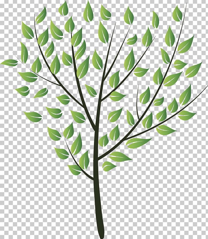 Drawing PNG, Clipart, Art, Branch, Drawing, Flora, Flower Tree Free PNG Download