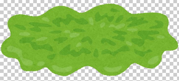 Hamburger Lettuce いらすとや Illustration Vegetable PNG, Clipart, Avocado, Cabbage, Grass, Green, Hamburger Free PNG Download