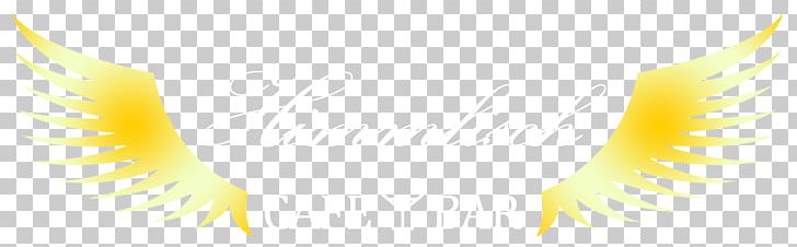 Desktop Close-up PNG, Clipart, Closeup, Closeup, Compress, Computer, Computer Wallpaper Free PNG Download