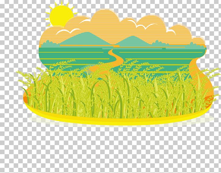 Paddy Field Rice Oryza Sativa PNG, Clipart, Agriculture, Crop, Farm, Food, Fruit Free PNG Download