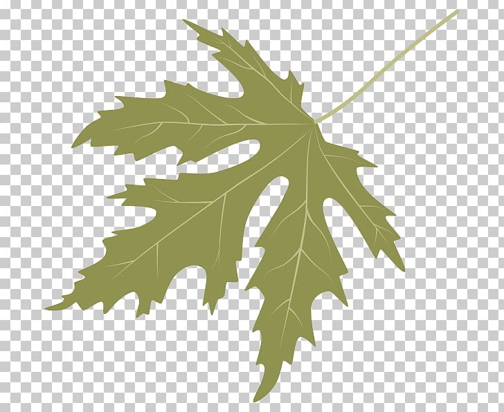 Dinosaur Planet Tree Sweetgum Maple Leaf PNG, Clipart, Arbor Day, Arbor Day Foundation, Dinosaur Planet, Leaf, Maple Free PNG Download