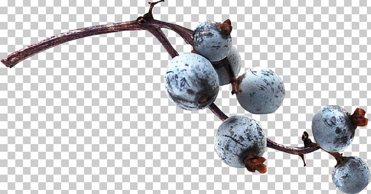 Blueberry PNG, Clipart, Autumn, Berry, Blueberry, Food, Food Drinks Free PNG Download