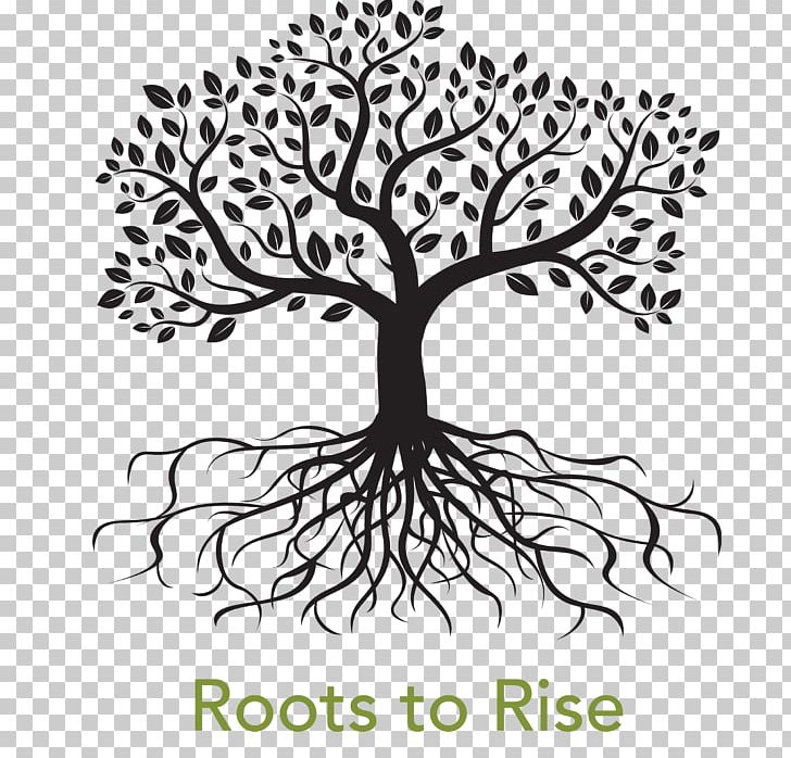 Drawing Tree PNG, Clipart, Artwork, Black And White, Branch, Drawing, Flora Free PNG Download