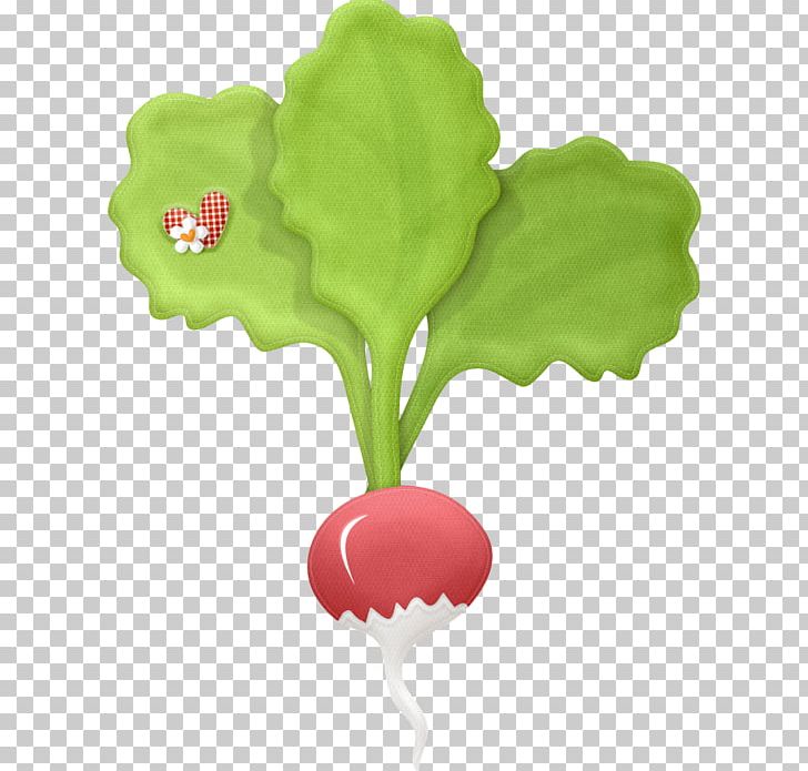 Garden Radish Drawing Vegetable Common Beet PNG, Clipart, Beet, Clip Art, Common, Common Beet, Decoupage Free PNG Download