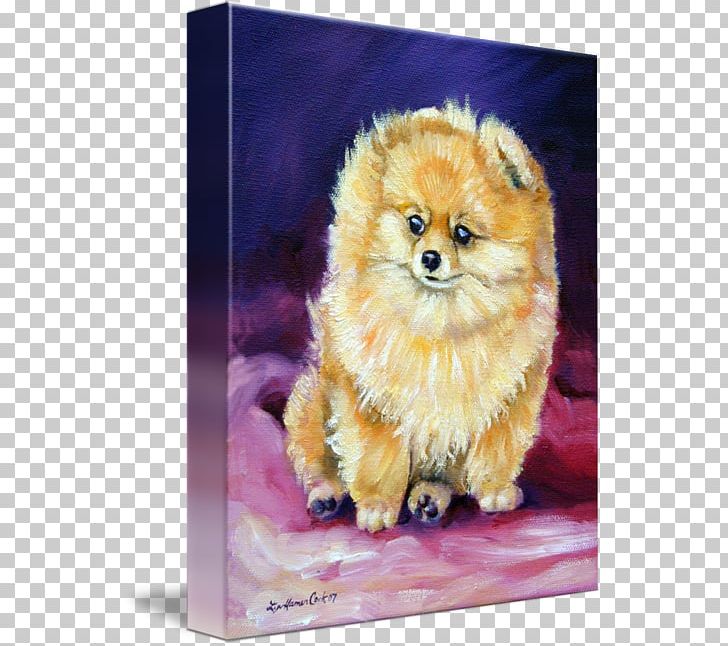 German Spitz Klein Pomeranian German Spitz Mittel Finnish Spitz Volpino PNG, Clipart, Canvas, Canvas Print, Carnivoran, Companion Dog, Dog Free PNG Download