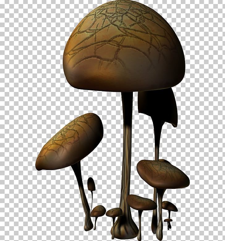 Mushroom I Confini Dell'anima PNG, Clipart,  Free PNG Download