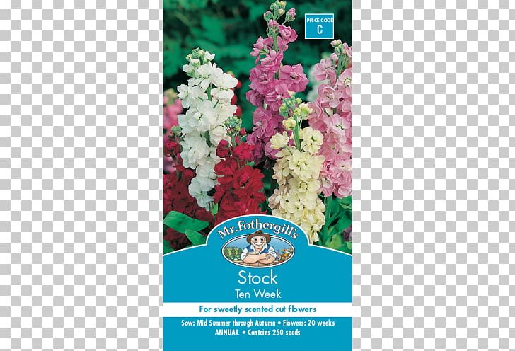 Seed Night-scented Stock Hoary Stock Plant Flower PNG, Clipart, Annual Plant, Benih, Crop, Cut Flowers, Flora Free PNG Download