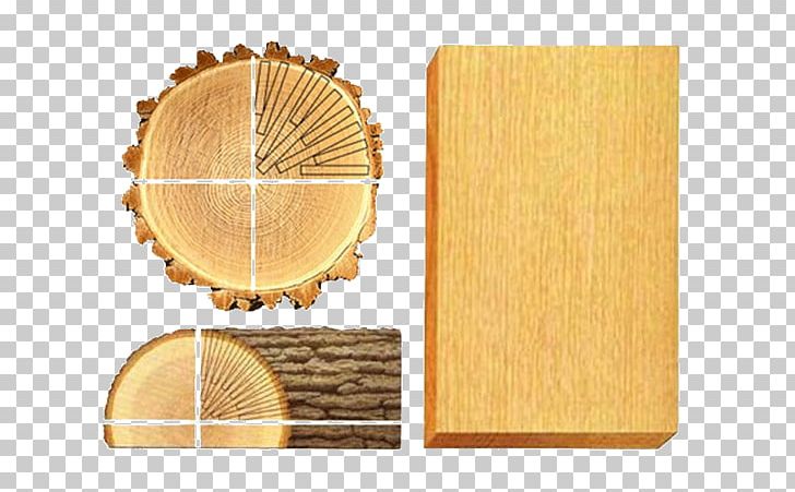 Wood /m/083vt Lumber PNG, Clipart, Lumber, M083vt, Nature, Ribbon Cutting, Wood Free PNG Download
