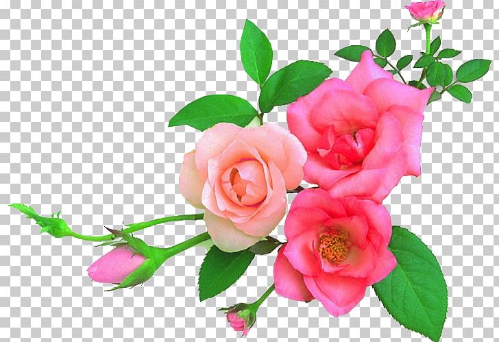 Garden Roses Flower Art Floral Design PNG, Clipart, Art, Ceramic, Cut Flowers, Decorative Arts, Desktop Wallpaper Free PNG Download