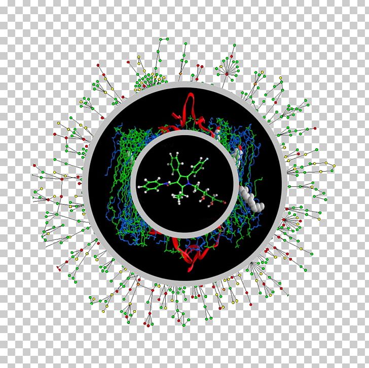 Systems Biology Protein–protein Interaction Rhizome Research PNG, Clipart, Amsterdam Houce, Biology, Cell Signaling, Circle, Gilles Deleuze Free PNG Download