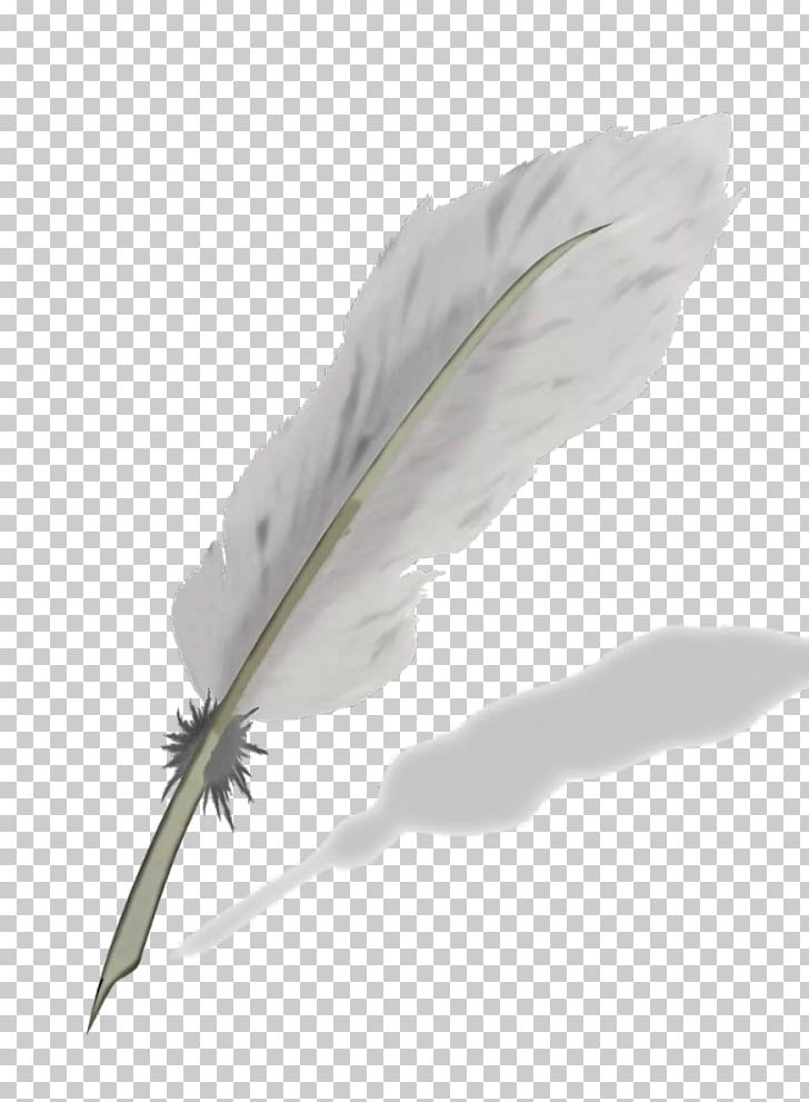 Feather Quill Nib Ballpoint Pen PNG, Clipart, Animals, Anserinae, Ballpoint Pen, Bird, Drawing Free PNG Download