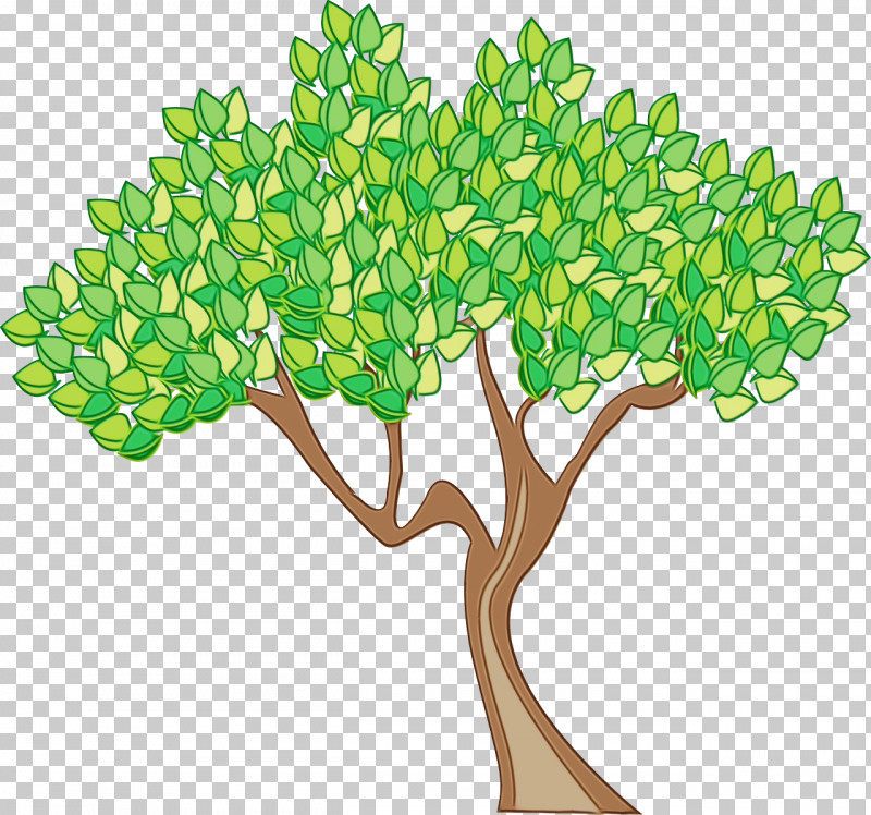 Plane PNG, Clipart, Branch, Flower, Grass, Green, Leaf Free PNG Download