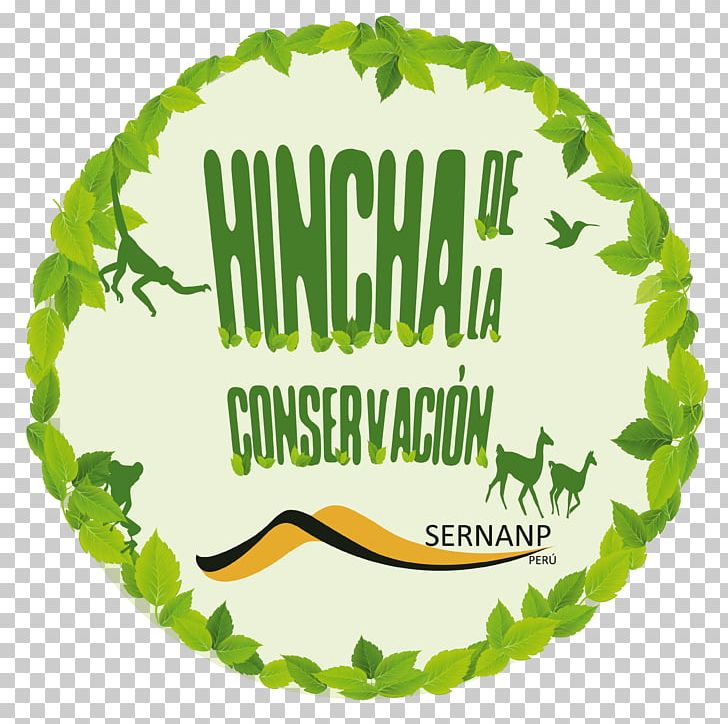 Conservation Protected Area Servicio Nacional De Áreas Naturales Protegidas Por El Estado Supporters' Groups Nature PNG, Clipart,  Free PNG Download