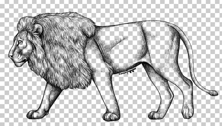 Drawing The Cowardly Lion Simba Sketch PNG, Clipart, Animal, Art, Artwork, Big Cats, Black And White Free PNG Download