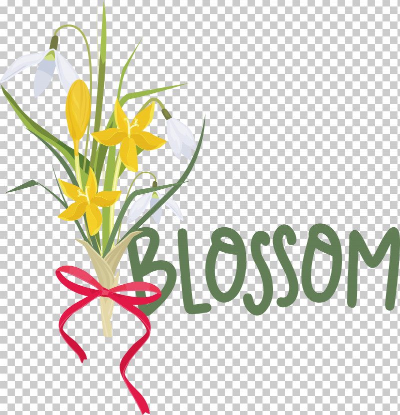 Floral Design PNG, Clipart, Biology, Cut Flowers, Floral Design, Flower, Meter Free PNG Download