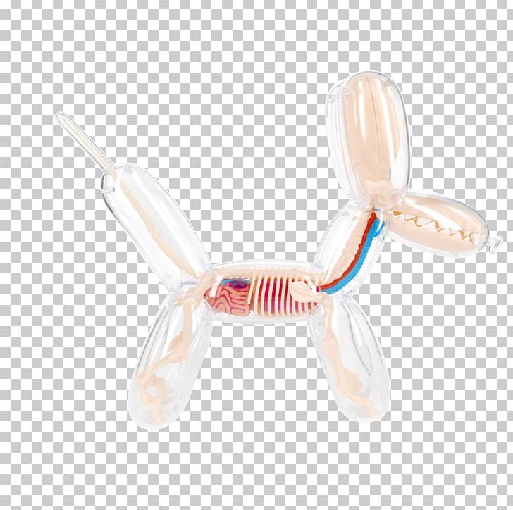 Balloon Dog Anatomy Plastic PNG, Clipart, 4digits, Anatomy, Animals, Balloon Dog, Balloon Model Free PNG Download