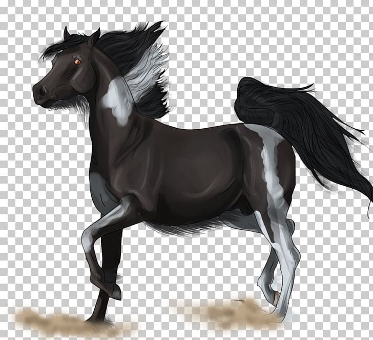 Mane Mustang Stallion Mare Pony PNG, Clipart, Aleksei Balabanov, Bridle, Halter, Horse, Horse Like Mammal Free PNG Download