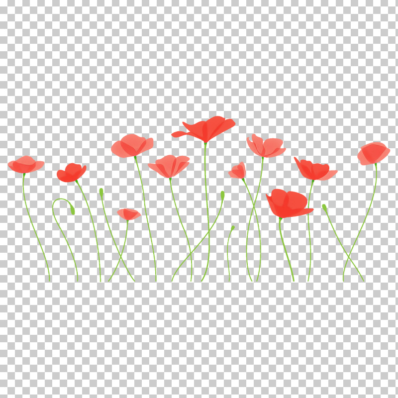 Poppy Flower PNG, Clipart, Coquelicot, Corn Poppy, Flower, Pedicel, Petal Free PNG Download