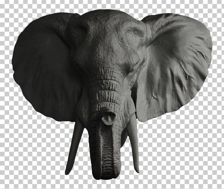 African Elephant Elephantidae Tusk Ganesha Bust PNG, Clipart, Black And White, Bull, Bust, Commemorative, Decorative Arts Free PNG Download