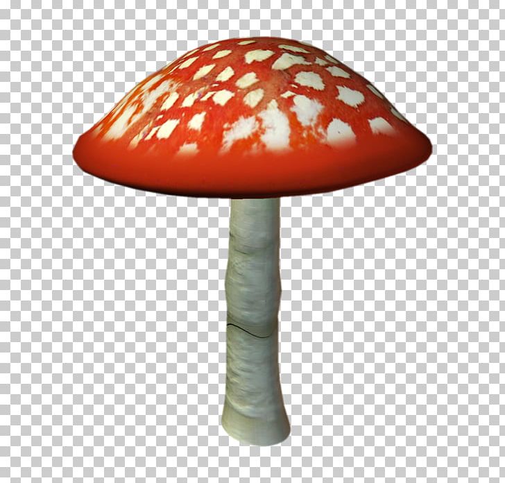 Amanita Muscaria Fungus Mushroom PNG, Clipart, Amanita, Amanita Muscaria, Computer Icons, Digital Image, Fairy Tale Free PNG Download
