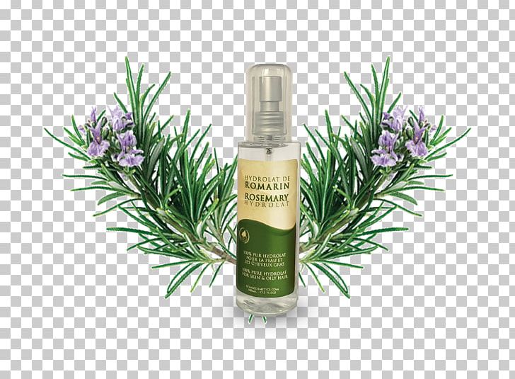 Herbal Distillate Rosemary Cosmetics Essential Oil PNG, Clipart, Activator, Atlas, Capelli, Cosmetics, Cream Free PNG Download
