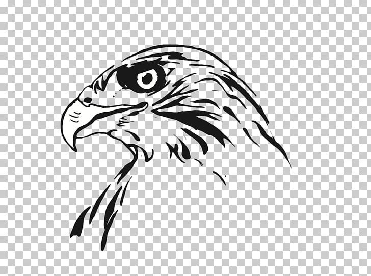 Drawing Bird Line Art Hawk PNG, Clipart, Animals, Bald Eagle, Beak, Bird, Bird Of Prey Free PNG Download