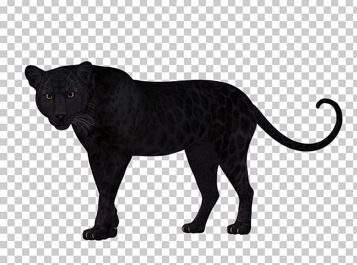 Leopard Panther Felidae Cat Tiger PNG, Clipart, Animal, Animal Figure, Animals, Big Cat, Big Cats Free PNG Download