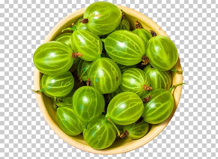 Indian Gooseberry Fruit Amalaki Antioxidant PNG, Clipart, Amalaki, Amla, Antioxidant, Food, Food Drinks Free PNG Download