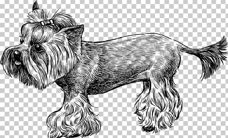 Yorkshire Terrier Cairn Terrier Sketch PNG, Clipart, Carnivoran, Dog Breed, Dog Like Mammal, Fictional Character, Mammal Free PNG Download