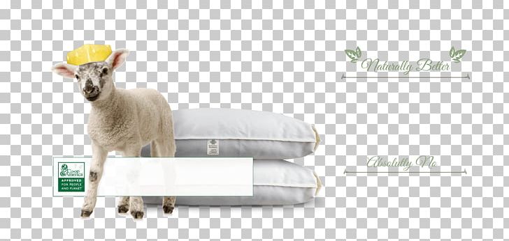 Baby Bedding Furniture Mattress Protectors Bed Sheets PNG, Clipart, Angle, Animal Figure, Baby Bedding, Bed, Bedding Free PNG Download