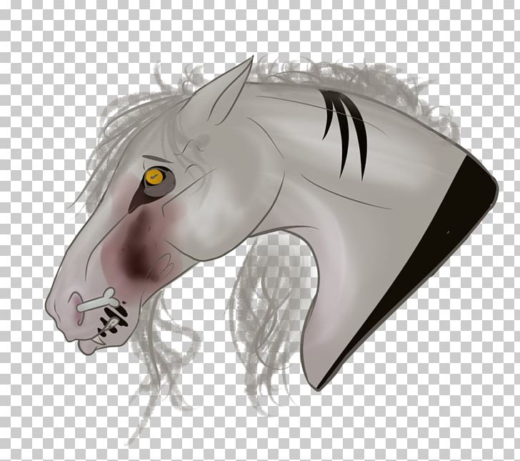 Horse Jaw Snout PNG, Clipart, Animals, Fictional Character, Head, Horse, Horse Like Mammal Free PNG Download