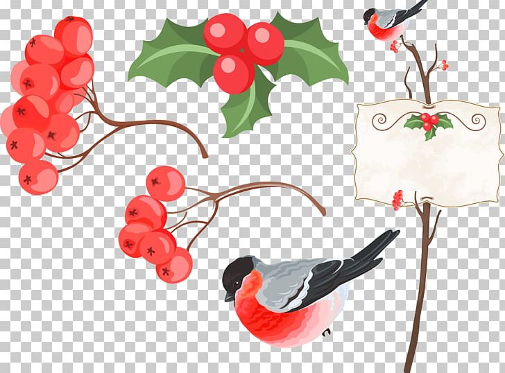 Information Computer Icons PNG, Clipart, Branch, Cherry, Christmas Ornament, Color, Computer Icons Free PNG Download