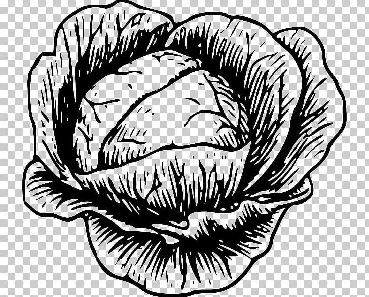Savoy Cabbage Open Graphics PNG, Clipart, Art, Artwork, Black And White, Brussels Sprout, Cabbage Free PNG Download