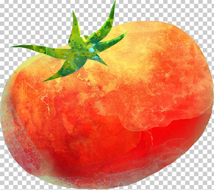 Tomato Painting Computer File PNG, Clipart, Apple, Cherry Tomato, Download, Drawing, Euclidean Vector Free PNG Download