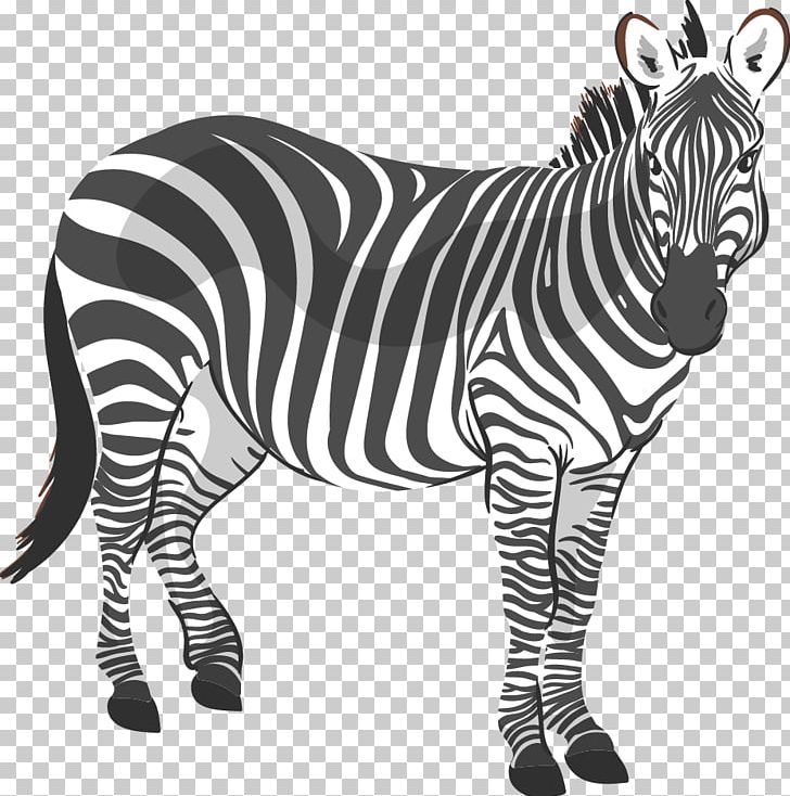 Zebra CorelDRAW Stock Illustration Computer File PNG, Clipart, Adobe Freehand, Animal, Animals, Big Cats, Black And White Free PNG Download