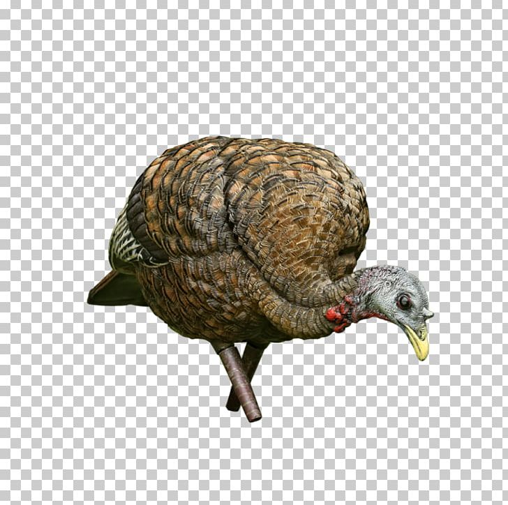 Avian X LCD Hen Feeder Turkey Decoy Avian-X LCD Breeder Turkey Decoy AvianX Feeder Turkey Decoy Camo Duck Decoy PNG, Clipart, Avianx Feeder Turkey Decoy Camo, Avianx Lcd Breeder Turkey Decoy, Avian X Lcd Strutter Turkey Decoy, Avianx Topflight, Decoy Free PNG Download