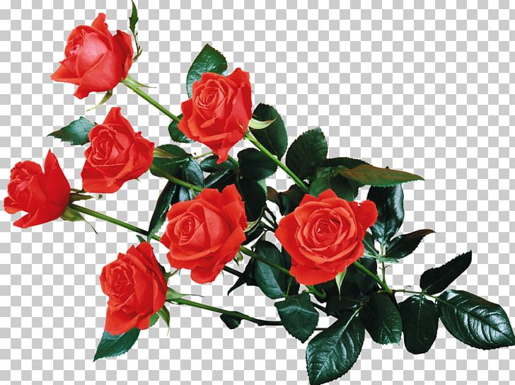 Flower Rose Desktop PNG, Clipart, Anniversary, Artificial Flower, Cut Flowers, Desktop Wallpaper, Display Resolution Free PNG Download