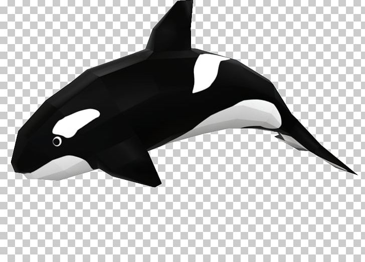 Killer Whale White-beaked Dolphin Paper Shark Drawing PNG, Clipart, Animals, Cardboard, Cetacea, Complexity, Dinosaur Free PNG Download