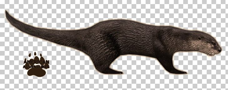 Sea Otter Zoo Tycoon 2 North American River Otter Japanese River Otter PNG, Clipart, American, Animal, Animal Figure, Asian Smallclawed Otter, Carnivoran Free PNG Download