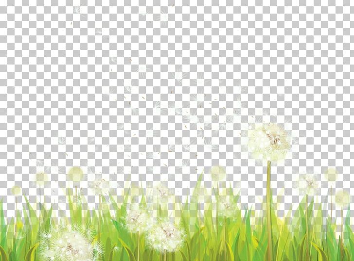 Dandelion PNG, Clipart, Commodity, Computer Wallpaper, Dandelion, Desktop Wallpaper, Field Free PNG Download