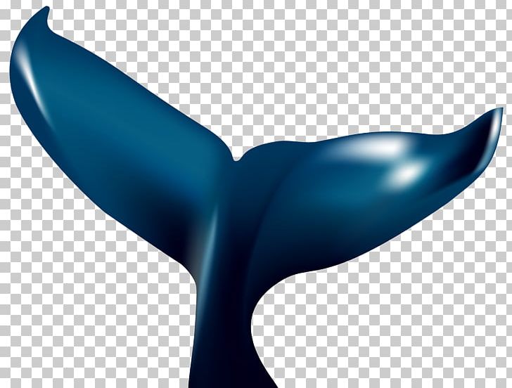 Whale Tail Humpback Whale PNG, Clipart, Blue Whale, Clip