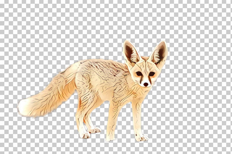 Fennec Fox Fox Swift Fox Jackal Wildlife PNG, Clipart, Fawn, Fennec Fox, Fox, Fur, Jackal Free PNG Download